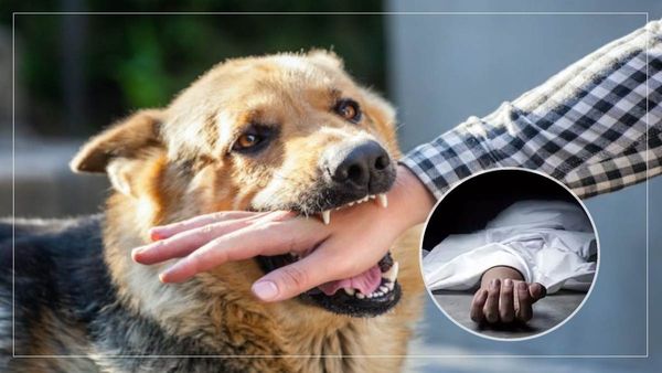 Dogs: కుక్క కాటుతో ప్రతి అరగంటకు ఒకరు మృతి..