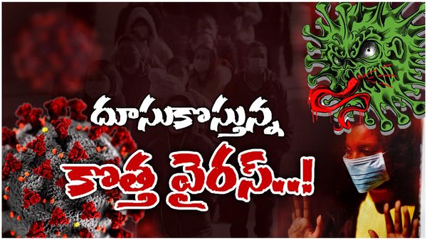 New Virus:పదేళ్లలో ప్రమాదకరమైన వైరస్..కరోనా కంటే వేగంగా,జర భద్రం..!