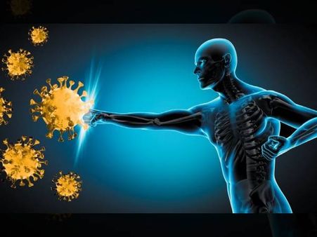 మీ కోటగోడ దృఢంగా ఉందా?