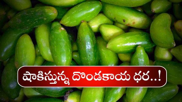 Ivy Gourd: కిలో దొండకాయ రూ.900..  ఆశ్చర్యపోతున్నారా..!