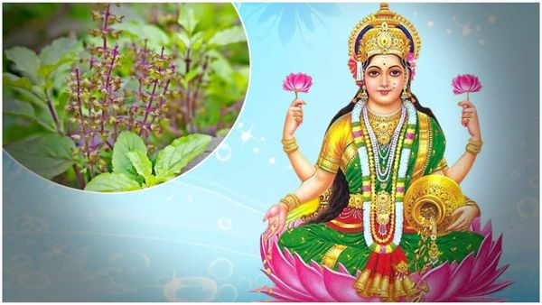 లక్ష్మీదేవి అనుగ్రహం కోసం తులసి ఆకులతో చిన్న చిట్కా!