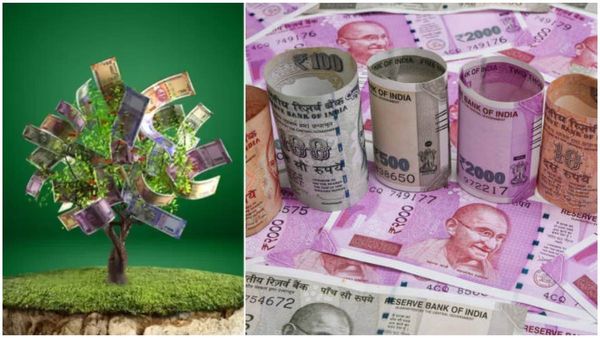 డబ్బులు చెట్లకే కాస్తాయి!