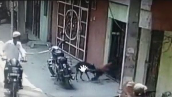 హైదరాబాద్: ఇంటి ముందు ఆడుకుంటున్న చిన్నారిపై వీధి కుక్క దాడి (వీడియో)