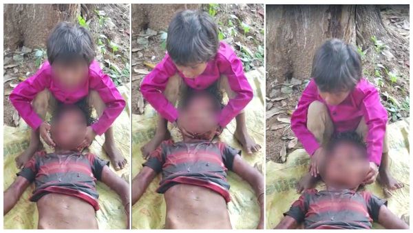 వీధికుక్కల దాడిలో మరో బాలుడు మృతి; వరంగల్ లో హృదయ విదారక ఘటన!!