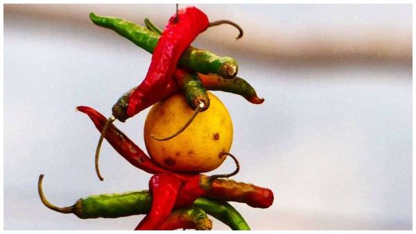 astrology: ఎండు మిరప కాయలతో నరదృష్టికి చెక్.. సమస్యలు పరార్!!