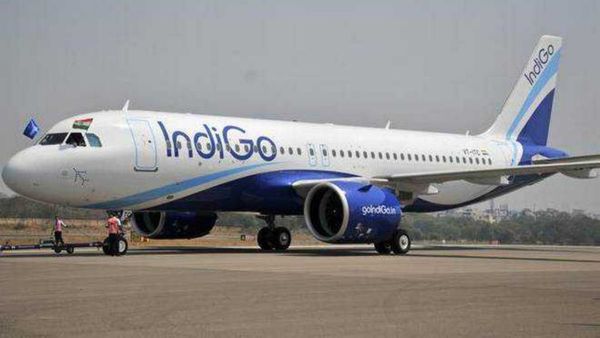 Indigo: ఇండిగో విమానానికి త్రుటిలో తప్పిన ప్రమాదం.. రెక్కలను ఢీకొట్టిన పక్షి..