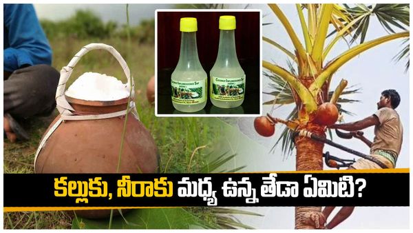 కల్లుకు, నీరాకు మధ్య ఉన్న తేడా ఏమిటి?