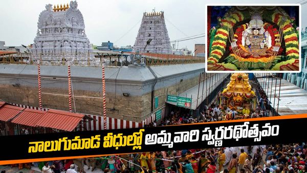 స్వర్ణరథంపై అమ్మవారు. నాలుగుమాడ వీధుల్లో కర్పూర హారతులు !