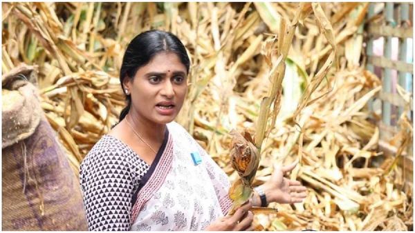 కల్లాల కాడనే కాటికి పోతున్న రైతులు.!పట్టించుకోని కేసీఆర్.!మరోసారి నిప్పులు చెరిగిన షర్మిళ.!