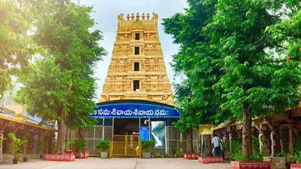 హైదరాబాద్-శ్రీశైలం: తక్కువ ఖర్చులో తెలంగాణ టూరిజం ప్యాకేజీ ఇదే