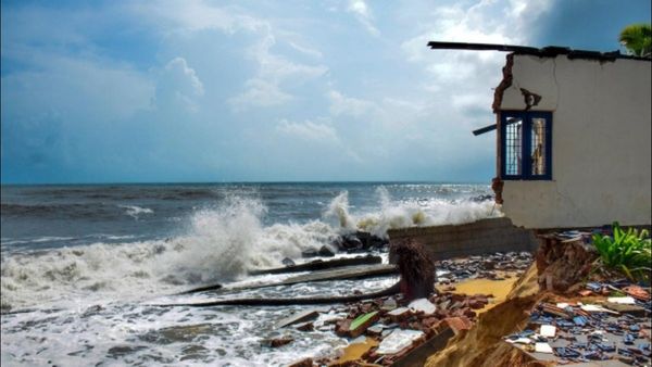 బిపార్జోయ్ తుపాను బీభత్సం: భారీ వర్షాలు, గాలులతో నేలకూలిన చెట్లు, పోల్స్, ఎగిరిపోయిన ఇంటి పైకప్పులు