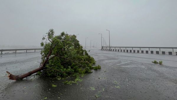 బిపర్‌జాయ్ కల్లోలం: ప్రాణ నష్టం లేదు కానీ, వేలాది చెట్లు, వందలాది ఇళ్లు ధ్వంసం