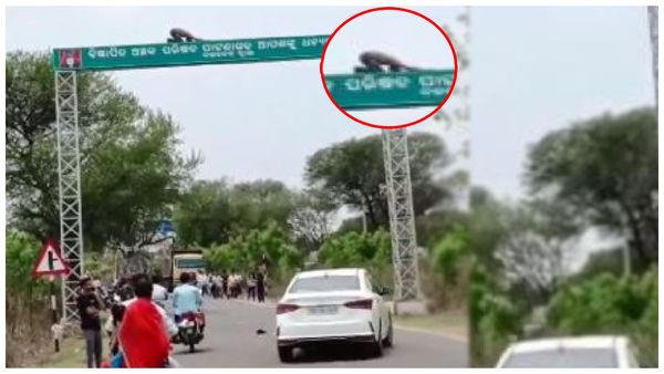 వీడి దుంప తెగ- హైవే సైన్ బోర్డ్‌పై మందుబాబు యోగాసనాలు: హడలి చచ్చిన జనం