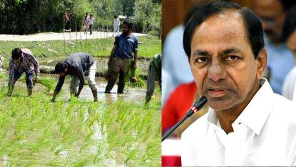 రెండు కోట్ల ఎకరాల మాగాణం - వ్యవసాయ రంగంలో ఆదర్శం..!!