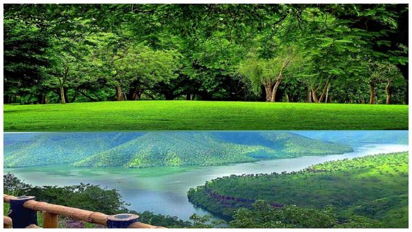 రీల్స్ చేయండి బహుమతి పట్టండి: తెలంగాణ అటవీ మంత్రిత్వ శాఖ బంపర్ ఆఫర్