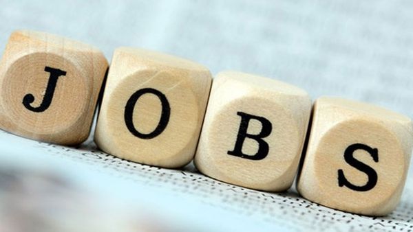 మార్కెట్ లో కాసులు కురిపిస్తున్న ఈ పనుల ముందు ఉద్యోగాలు వేస్ట్!!