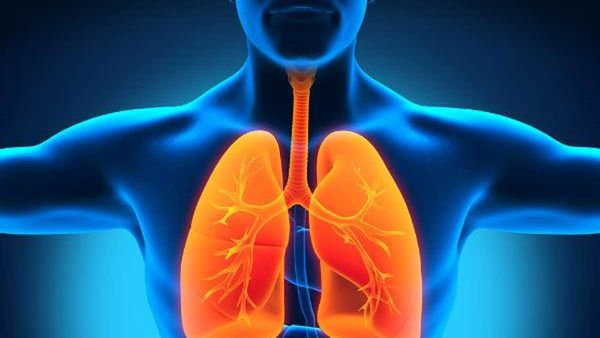 Health tips: ఊపిరితిత్తుల్లో ఇన్ఫెక్షన్.. వీటిని ఆహారంగా తీసుకుంటే మాయం!!