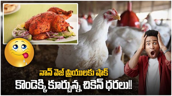 నాన్ వెజ్ ప్రియులకు షాక్; కొండెక్కి కూర్చున్న చికెన్ ధరలు!!