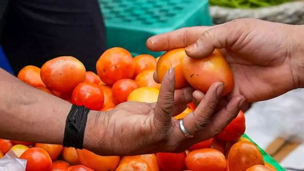 టమాటా గ్రాండ్ ఛాలెంజ్.. మీరు రెడీనా!!