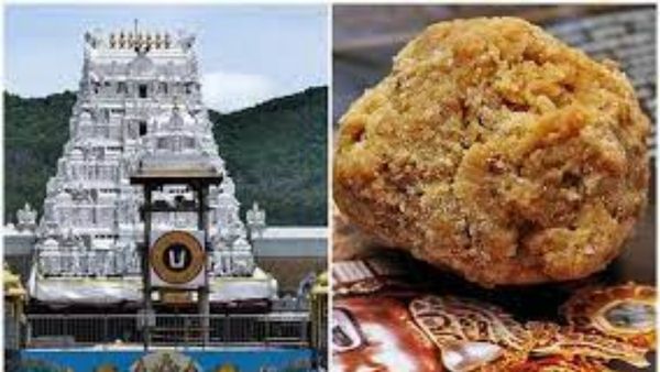 TTD: శ్రీవారి లడ్డు ప్రసాదం పై టీటీడీ కీలక నిర్ణయం - వారి పై చర్యలకు సిద్దం..!!