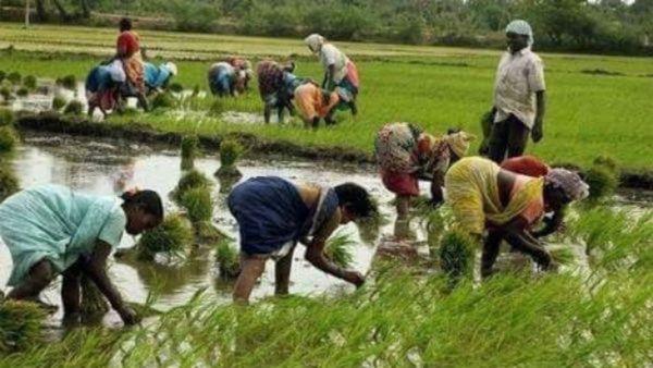 తెలంగాణలో అర్హులైన రైతులందరికీ రుణమాఫీ