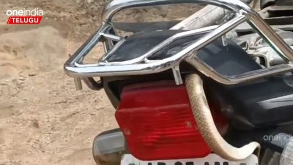 స్టార్ట్ అవడం లేదని మెకానిక్ వద్దకు తీసుకెళ్తే.. బైక్‌లో భారీ పాము దర్శనం!