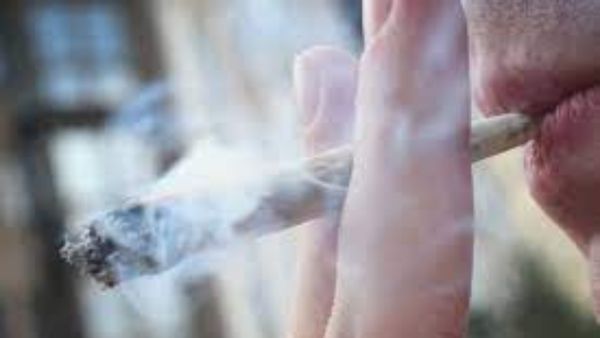 బ్రెడ్, జామున్, కేక్ ల మధ్యలో గంజాయి, ఆంధ్రా నుంచి అదరిపోయే సరుకు !