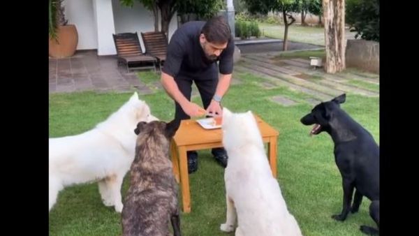 ధోనీ బర్త్‌డే స్పెషల్- పెంపుడు జంతువుల మధ్య కేక్ కట్