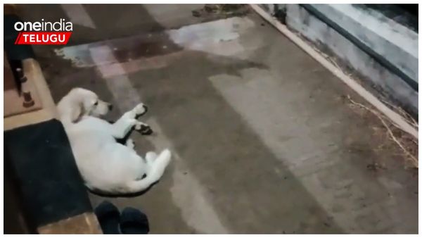 Video:అమ్మ నీకోసం నేనిక్కడే ఉన్నా.. కదిలించే కన్నీటి ప్రేమ కథ..