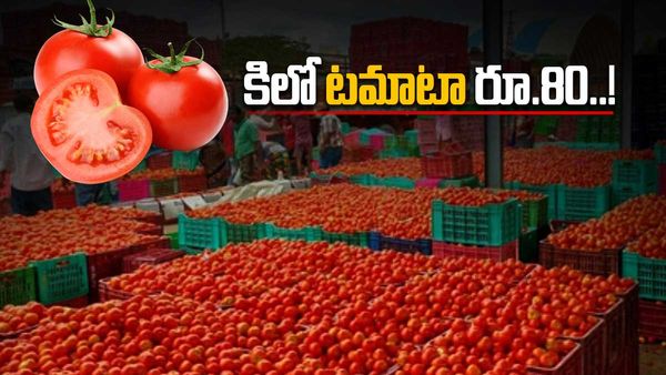 Tomato: 3 గంటల్లో 3000 కిలోల టమాటా కొనుగోలు చేశారు..