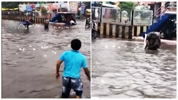 మచిలీపట్నంలో భారీ వర్షం: మోకాల్లోతు నీళ్లు- కొట్టుకుపోయిన పాల పాకెట్లు: ఎగబడ్డ జనం