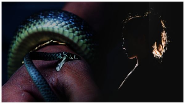 అక్రమ సంబంధం, వ్యాపారవేత్తను పాములతో చంపించిన కిలాడీ ఆంటీ, మ్యాటర్ లీక్ !