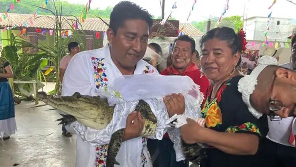 మొసలిని వివాహం చేసుకున్న మేయర్; పెళ్లి తంతు చూస్తే షాక్!!