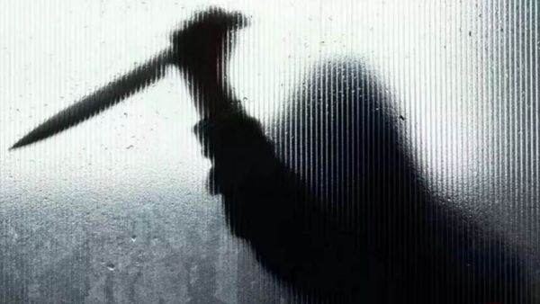 ఇంజనీర్ భార్య హత్య కేసులో ట్విస్ట్, ఆంటీని చంపింది అందుకే !