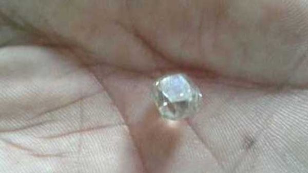 రైతులను లక్షాధికారులను చేస్తున్న వజ్రాల పంట!!