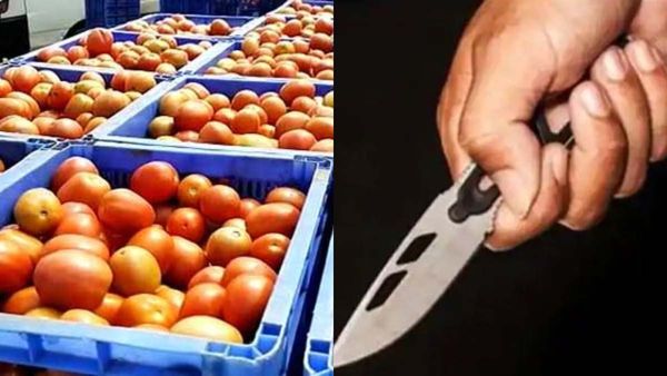 టమోటాల కోసం కత్తులతో పొడుచుకున్న ఫ్రెండ్స్, అసలు మ్యాటర్!