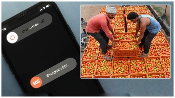 మొబైల్ ఫోన్లు స్విచ్ ఆఫ్ చేస్తున్న టామాటా రైతులు, రేయ్ మామా నేను రా అంటూ !