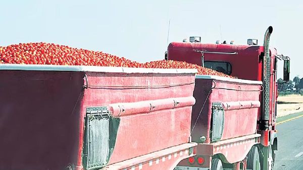 Tomato: లారీ టమాటాతో జంపయిన డ్రైవర్.. రూ.21 లక్షలు మునిగిన వ్యాపారులు..