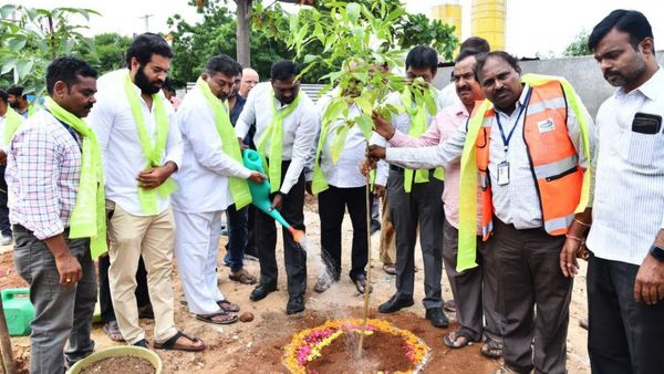 నగర వాసులకు ఆహ్లాదం.!ఎటు చూసినా పచ్చదనమే.!జీహెచ్ఎంసీ వినూత్నంగా మొక్కల పెంపకం.!