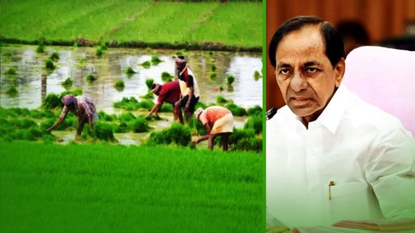 తెలంగాణలో రైతు రుణమాఫీ ప్రక్రియ ప్రారంభం: నిధుల విడుదల