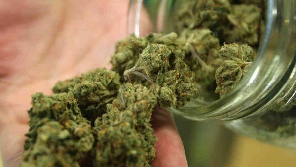 రుచికరమైన గంజాయి చాక్లెట్, ఒక్కటి ఎంతంటే ?, అక్కడి నుంచి ఐటీ హబ్ కు !