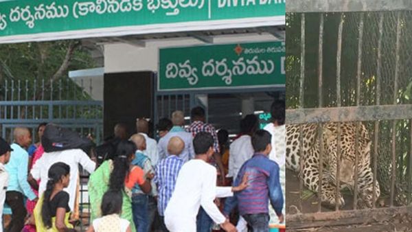 TTD: చిక్కిన మరో చిరుత, ఆపరేషన్ కంటిన్యూ - టీటీడీ తాజా నిర్ణయాలు..!!