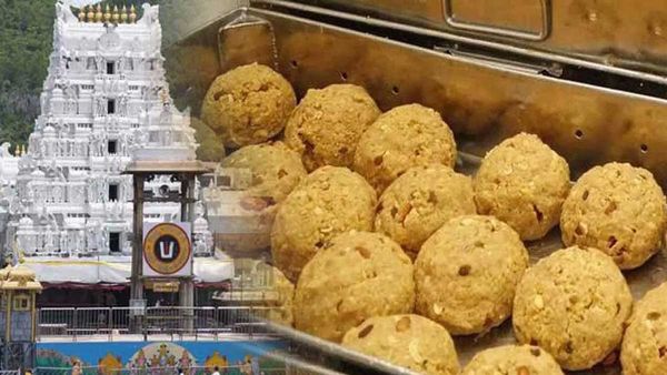 తిరుమల లడ్డూలకు నెయ్యి సరఫరా చెయ్యలేము, ఆ టేస్టు ఇక ఉండదు, నాయక్ !