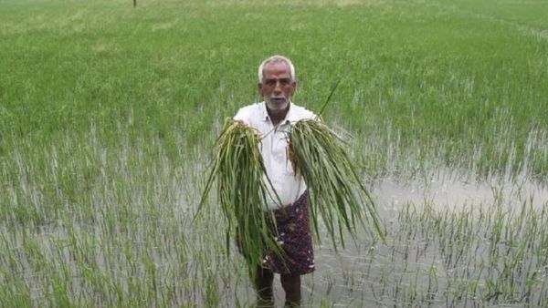 Rains: తెలంగాణ వ్యాప్తంగా వర్షాలు.. దెబ్బతిన్న పంటలు..