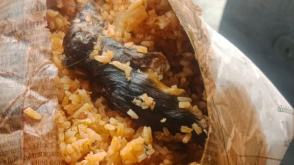 బెంగళూరు బంద్, టమోటో బాత్ చేస్తుంటే ప్రాణాలు కోల్పోయిన ఎలుక, పోలీసులకు !