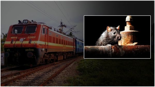 ఒక్కో ఎలుకను పట్టడానికి రూ.41,000; నార్తర్న్ రైల్వే ఘనత!!