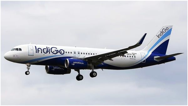 Indigo: విమానం గాల్లో ఉండగా అత్యవసర ద్వారం తెరిచేందుకు ప్రయాణికుడి యత్నం..