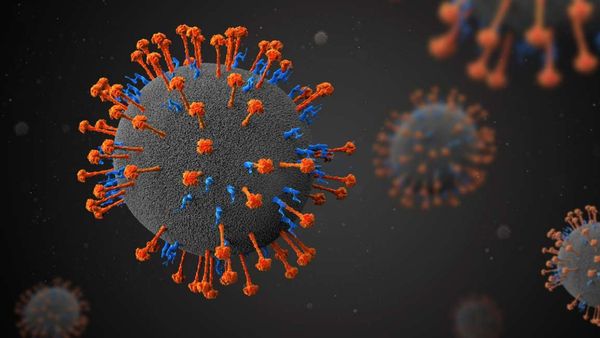 Nipah: మరోసారి వణికిస్తున్న ప్రాణాంతక వైరస్ నిపా, కేరళలో ఇద్దరు మృతి