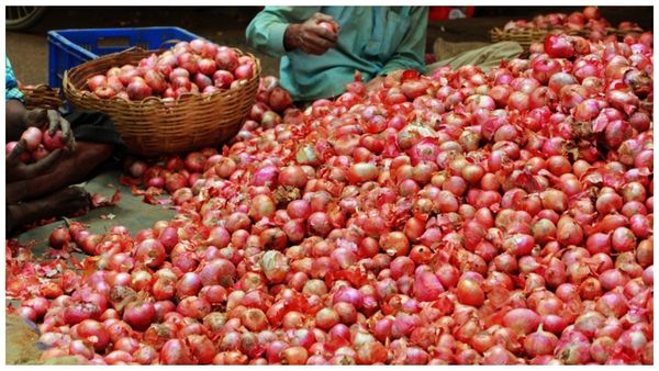 Onions : ఏపీలో క్రమంగా పెరుగుతున్న ఉల్లి ధరలు-స్టాక్ పెట్టుకోవాల్సిందేనా ?