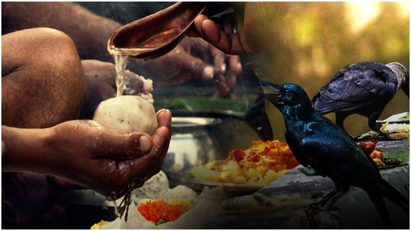 పితృపక్షం 2023: పొరబాటున కూడా ఈ పనులు చెయ్యొద్దు.. అరిష్టం!!